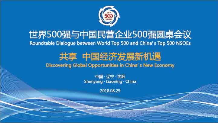 廊坊世界500強(qiáng)與中國民營企業(yè)500強(qiáng)圓桌會議在沈召開